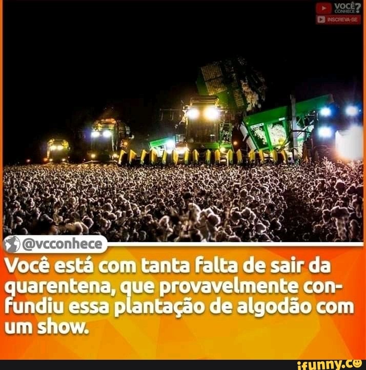 VOCÊ?
Você está com tanta falta de sair da quarentena, que provavelmente cone fundiu essa plantação de algodão com um show,