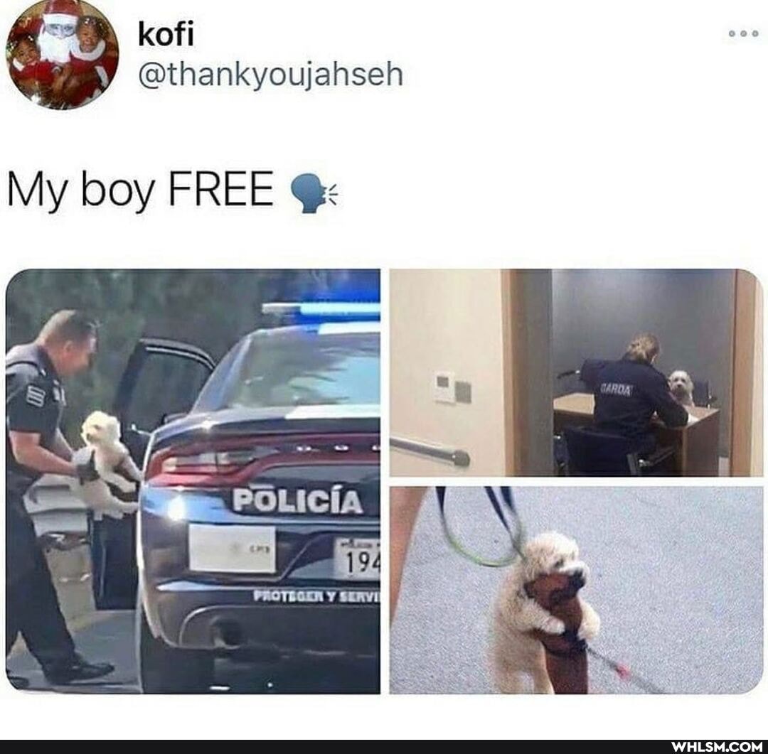 kofi
My boy FREE Cx