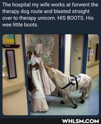 The hospital my wife works at forwent the therapy dog route and blasted straight over to therapy unicorn. HIS BOOTS. His wee little boots.