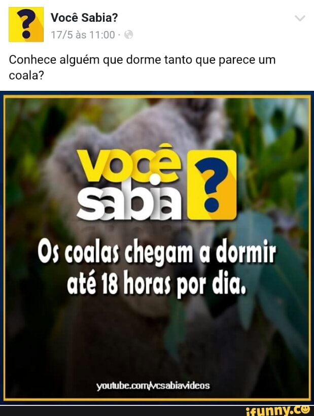 Conhece alguém que dorme tanto que parece um
coala?
Os coalas chegam
a dormir
até 18 horas por dia,