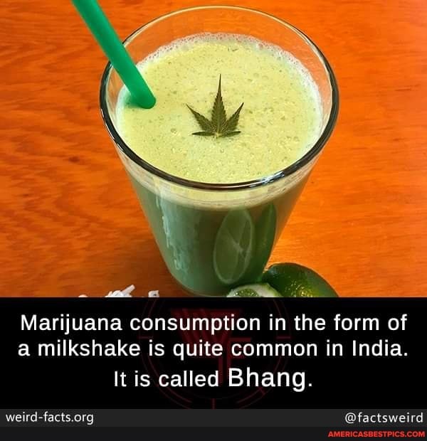 Marijuana consumption in the form of a milkshake is quite common in India.
It is called Bhang.
@factsweird