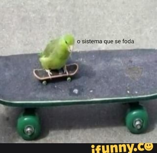 O sistema que se foda.