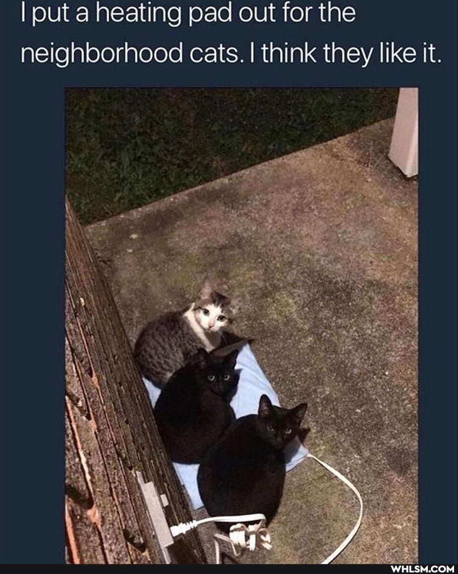 I put a heating pad out for the neighborhood cats. I think they like it.