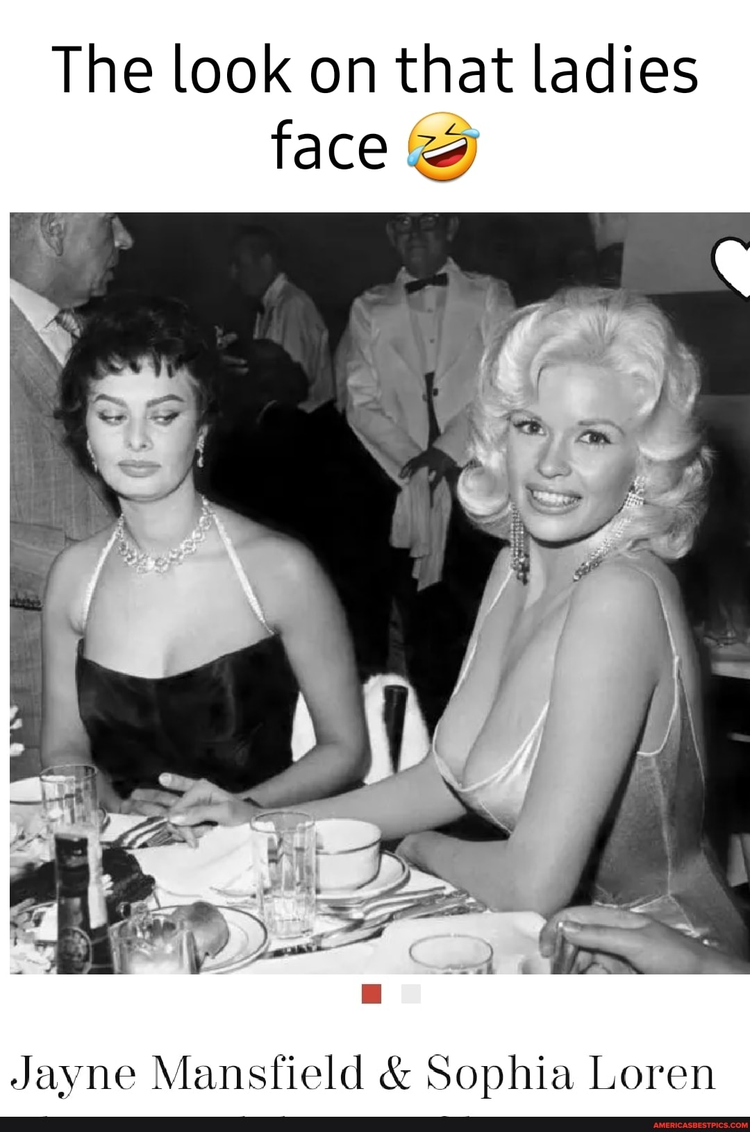 The look on that ladies face Jayne Mansfield & Sophia Loren - America’s ...