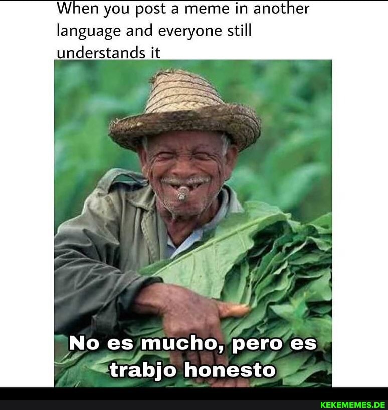 When you post a meme in another language and everyone still understands it
No es ymucho, pero es
"trabjo honestoy