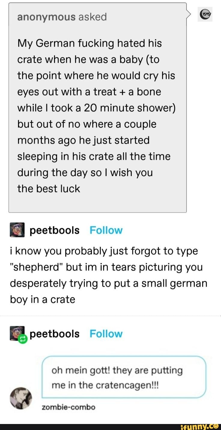 Anonymous asked My German fucking hated his crate when he was a baby (to  the point