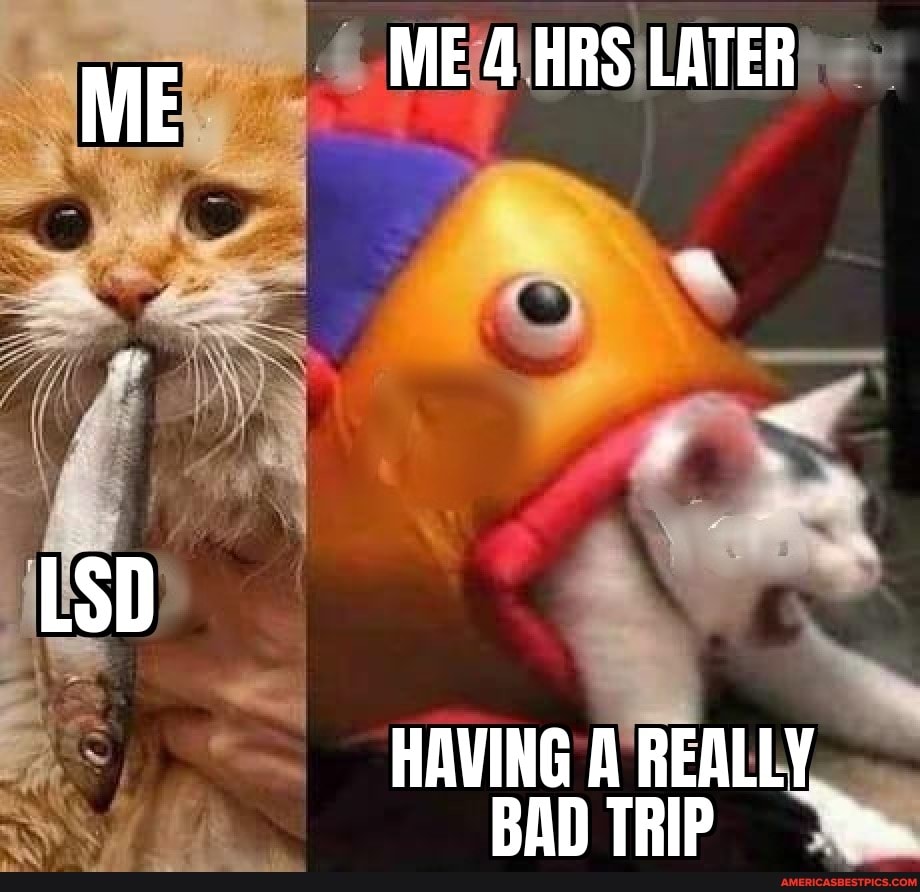 ME ME 4 HRS LATER
LSD
HAVING A REALLY.
BAD TRIP