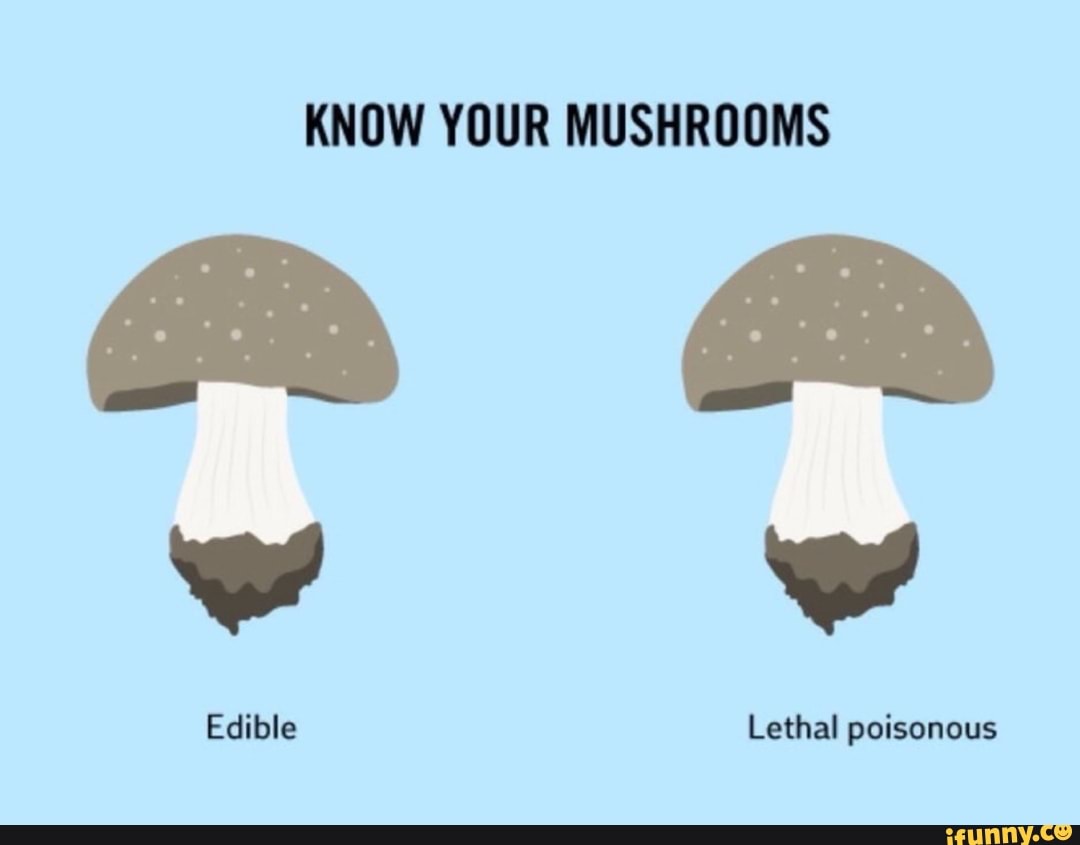 KNOW YOUR MUSHROOMS )