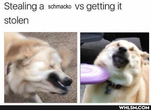 Stealing a schmacko vs getting it stolen