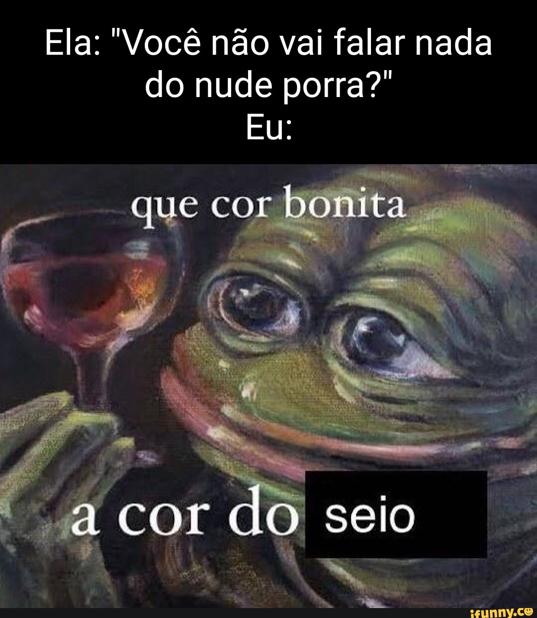 Ela Voc N O Vai Falar Nada Do Nude Porra Eu Que Cor Bonita Acor Do Seio Ifunny Brazil