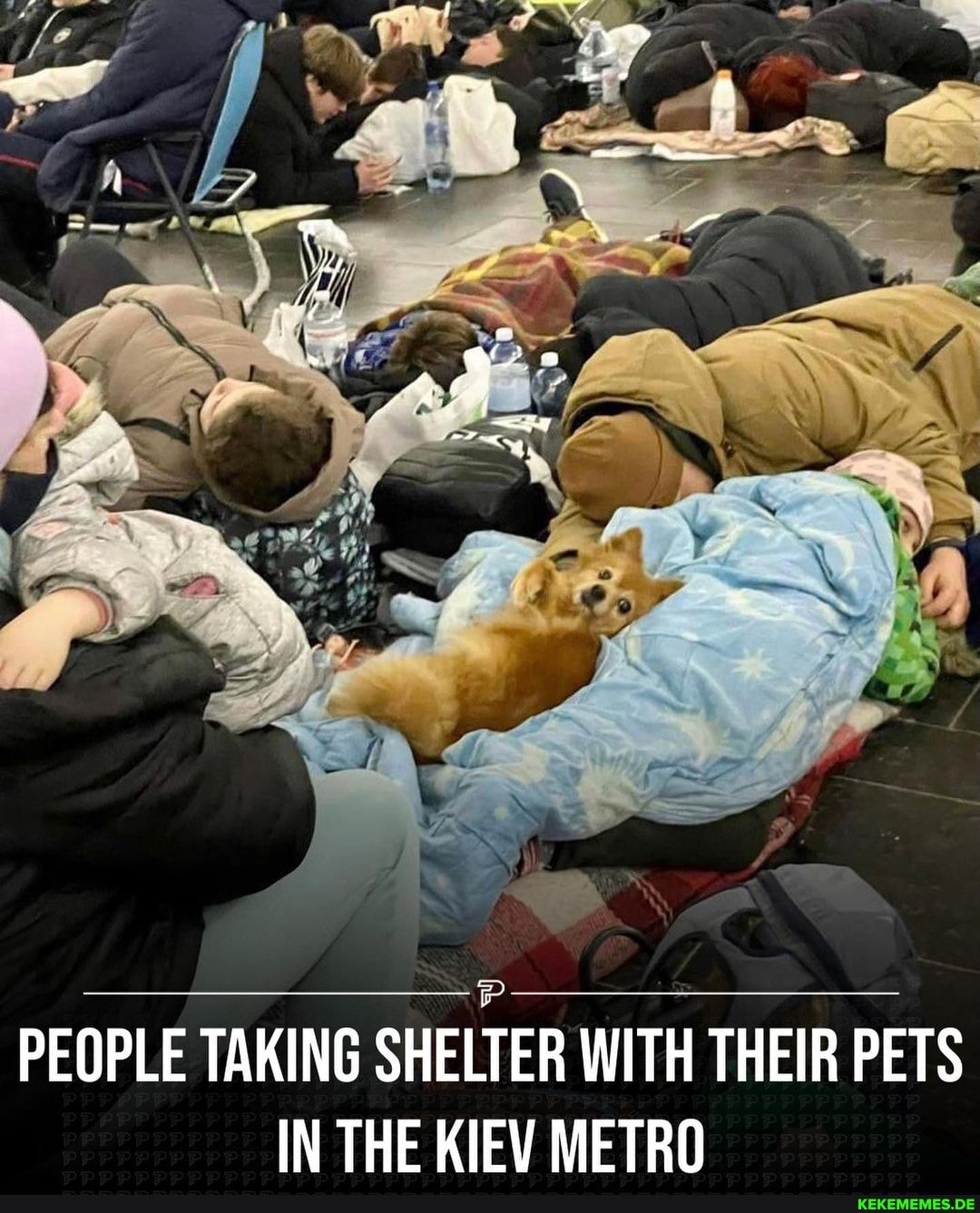 PEOPLE TAKING SHELTER WITH THEIR PETS IN THE KIEV METRO