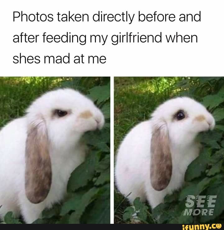 Photos Taken Directly Before And After Feeding My Girlfriend When Shes Mad At Me Ifunny