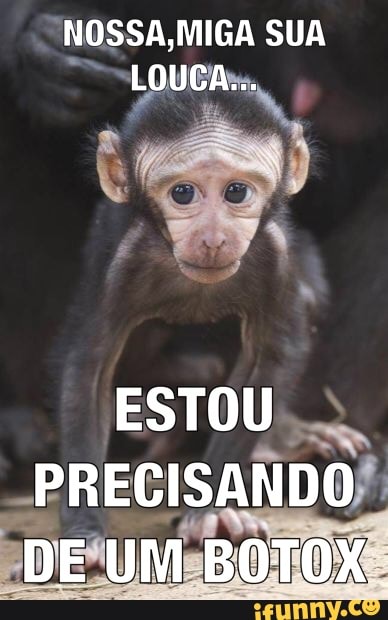 NOSSA,MIGA SUA
-LOUCArs,