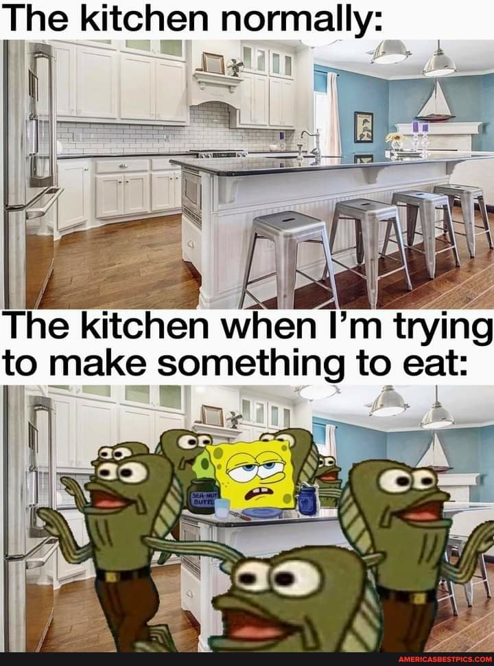 The kitchen
The kitchen when I'm trying to make something to eat: