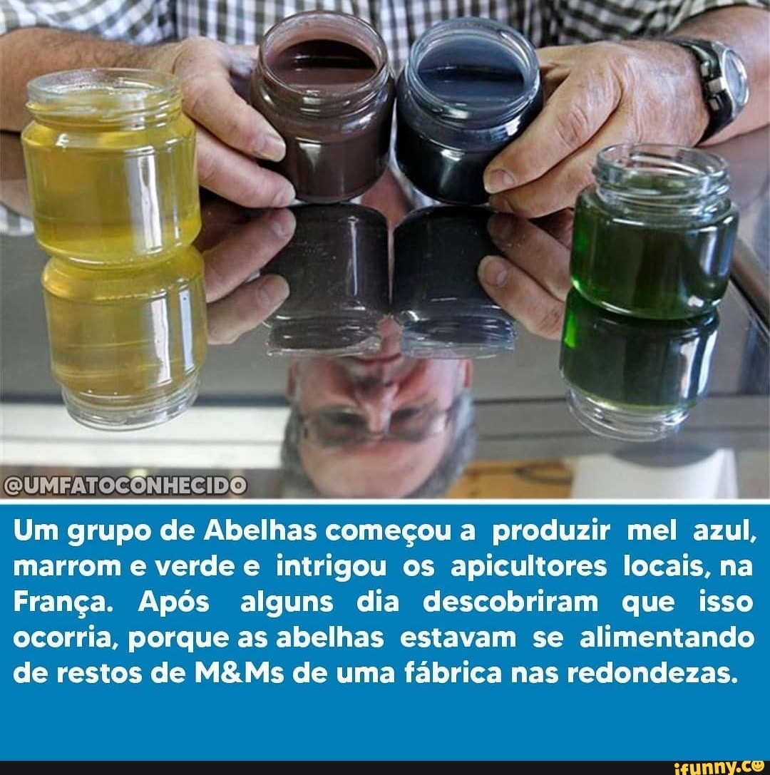 QUMFATOCONHECIDO
Um grupo de Abelhas começou a produzir mel azul, marrom e verde e intrigou os apicultores locais, na
França. Após alguns dia descobriram que isso ocorria, porque as abelhas estavam se alimentando de restos de de uma fábrica nas redondezas.