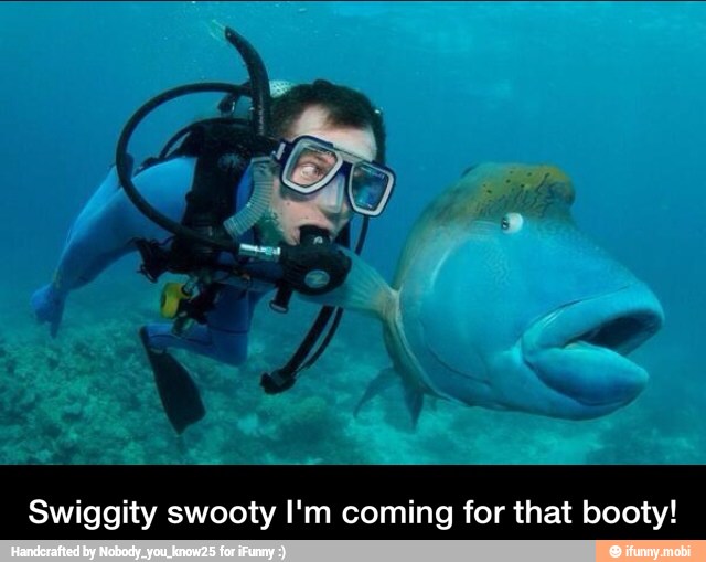 Swiggity swooty I'm coming for that booty! - Swiggity swooty I'm coming for that booty!