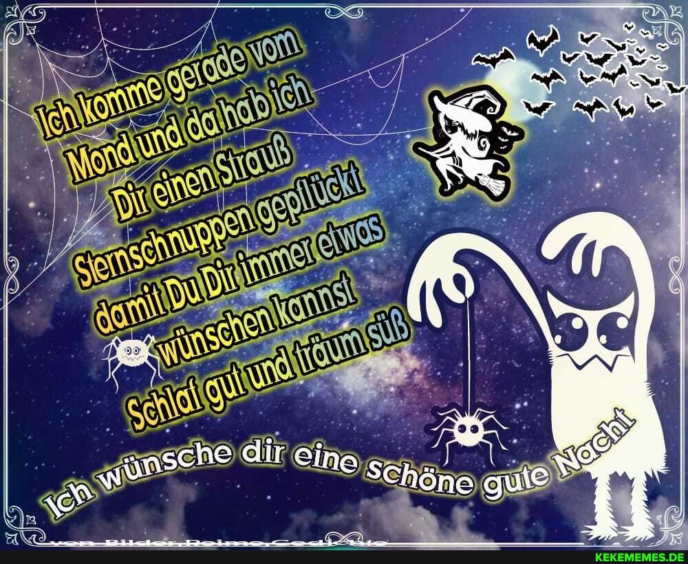 Po
we? RAGS
AS
WY
AN
ES
ansche dir cine SCh