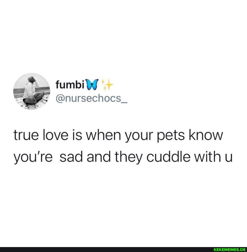 fumbi true love is when your pets know you're sad and they cuddle with u