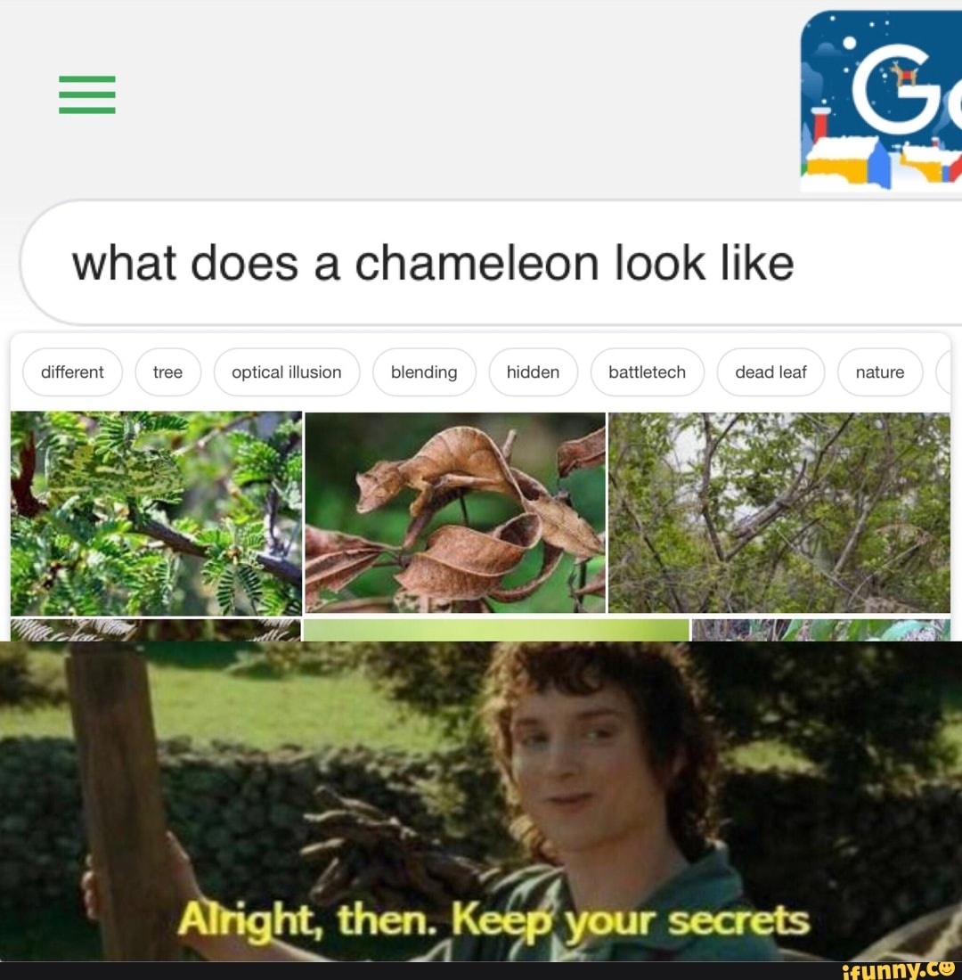 What does a chameleon look like - iFunny