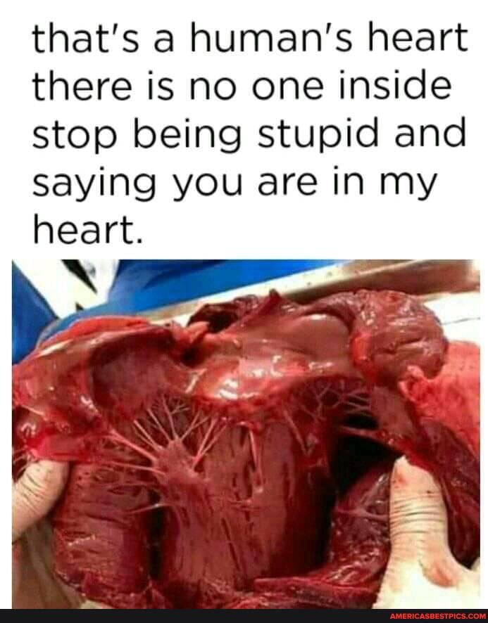 that's a human's heart there is no one inside stop being stupid and saying you are in my heart.