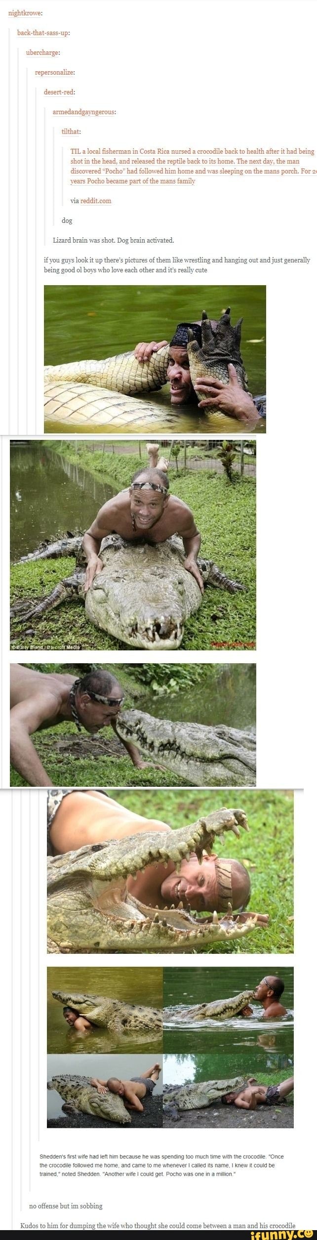 nightkrowe:
back-that-sass-up:
ubercharge:
tilthat:
TIL
shot in the head, and released the reptile back t.
discovered "Pocho" had followed him hon
ocho became part of the mans
al fisherman in Costa Rica nursed a
crocodile back to health after it had be
home, The next
day, the man
nd was
sleeping on
the mans
porch. Fo
via
reddit.com
dog
Lizard brain was
shot. Dog brain activated.
ifyou guys look it up
there's pictures of them like wrestling and hanging out and just generally
being good ol boys who love each other and its really cute