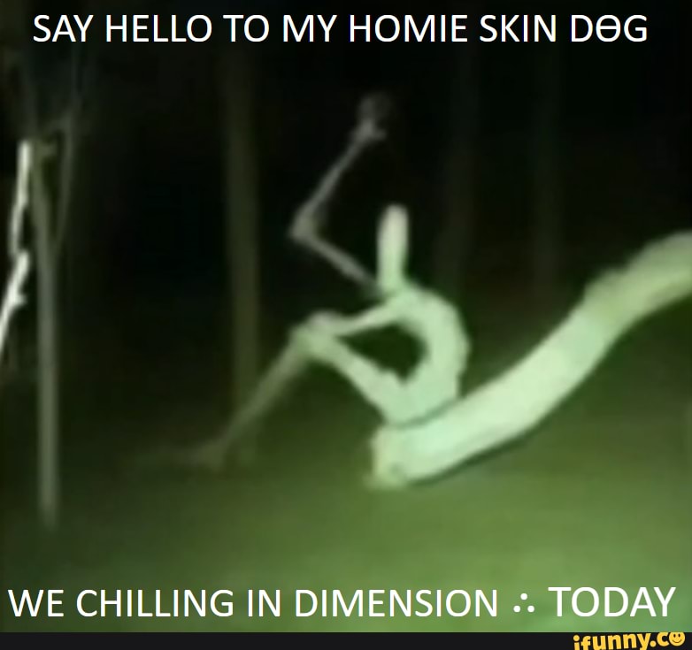 say-hello-to-my-homie-skin-we-chilling-in-dimension-today-ifunny