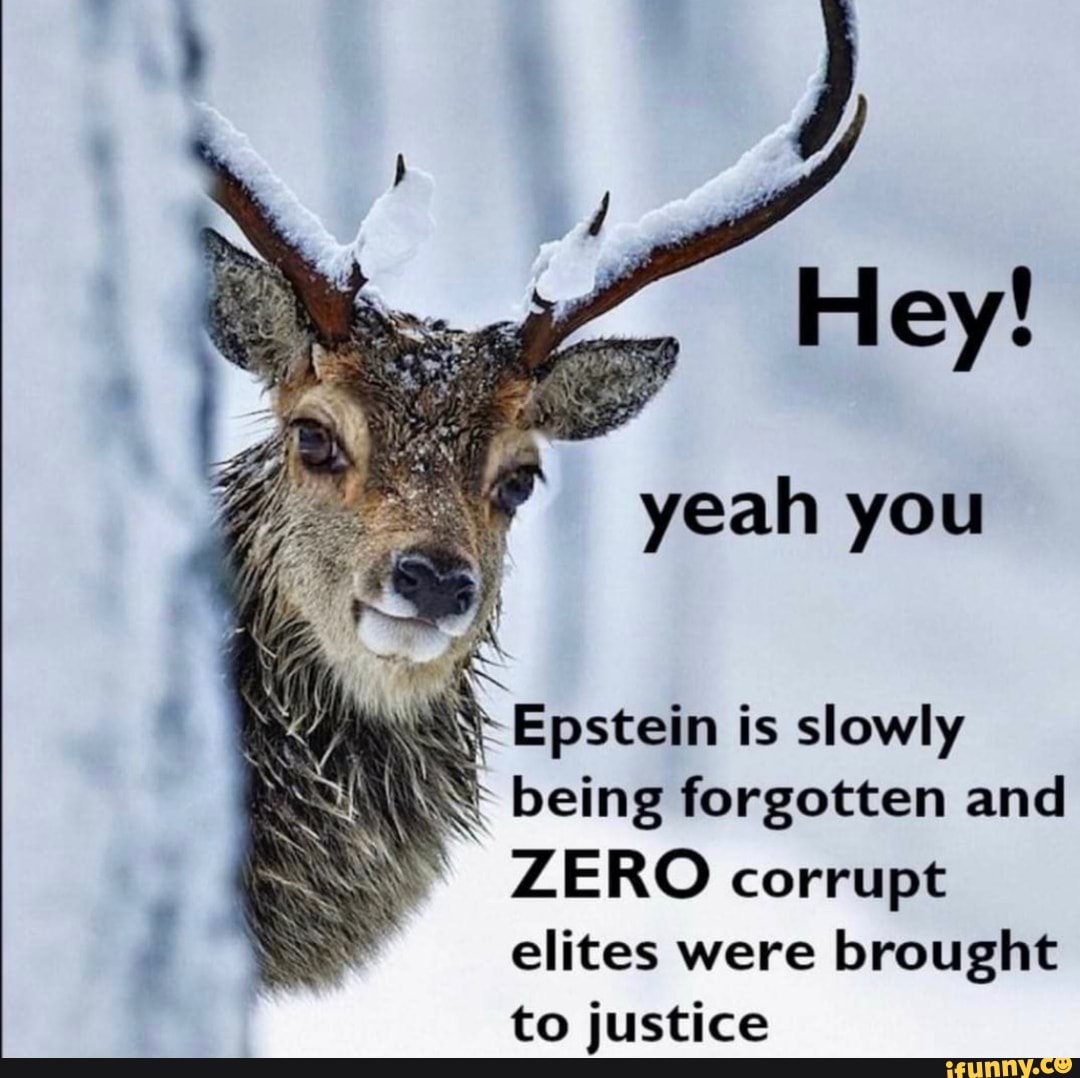 Epstein is slowly
TE
being forgotten and
ZERO corrupt elites were brought to justice