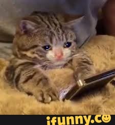 XDD