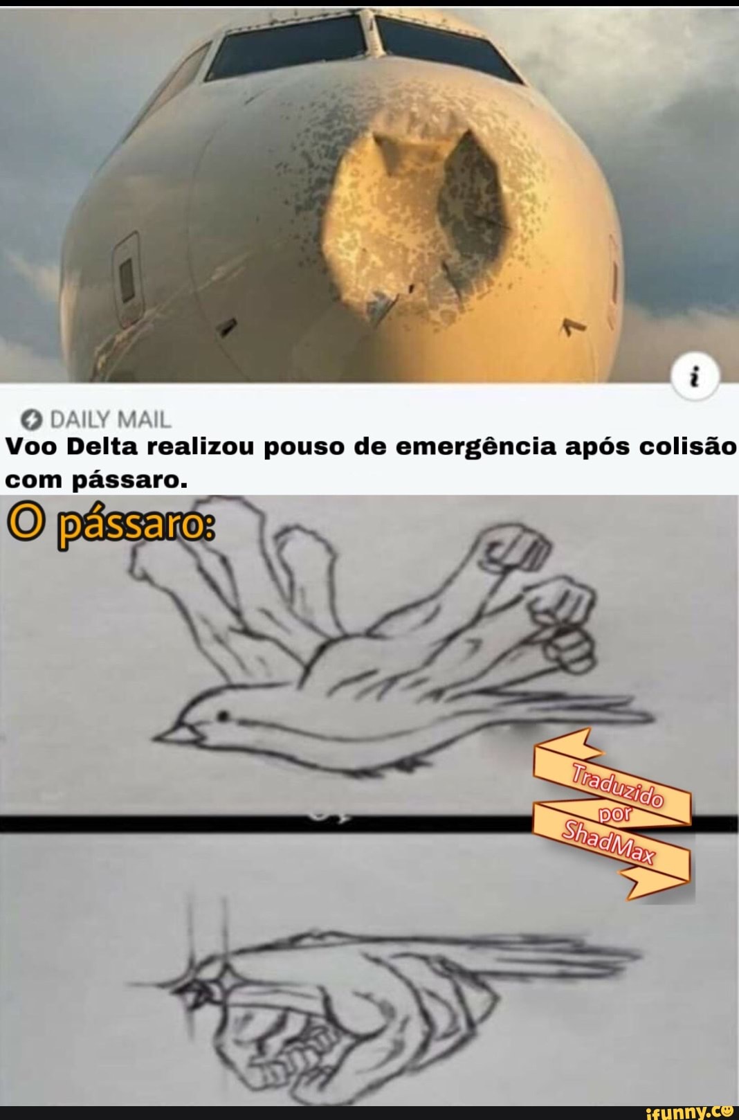 O DAILY MAIL
Voo Delta realizou pouso de emergência após colisão
com pássaro.
