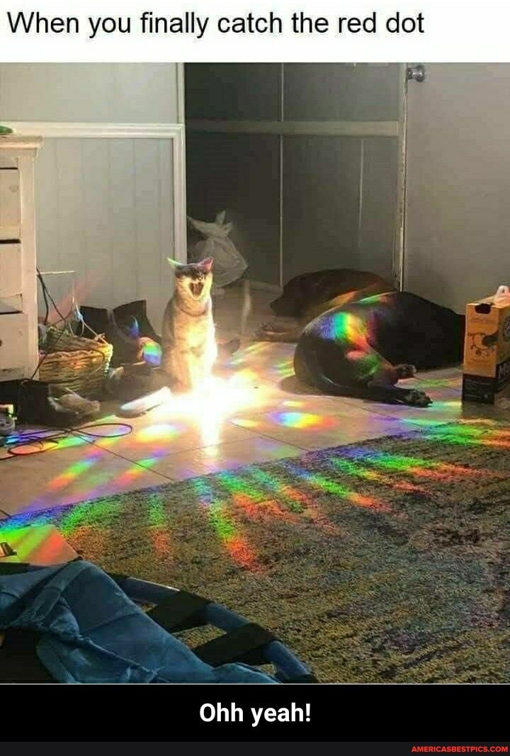 When you finally catch the red dot
Ohh yeah! - Ohh yeah!