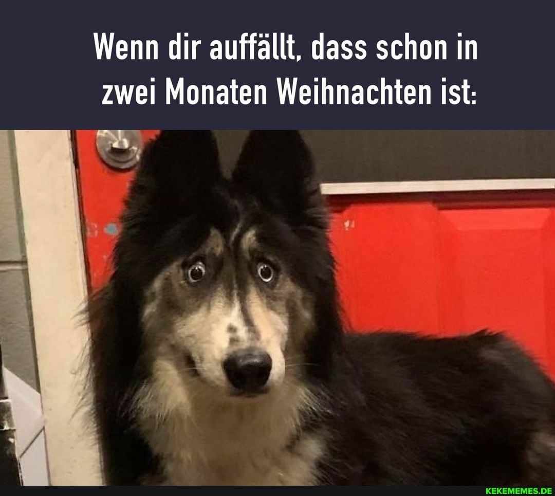 Wenn dir auffällt, dass schon in zwei Monaten Weihnachten ist: