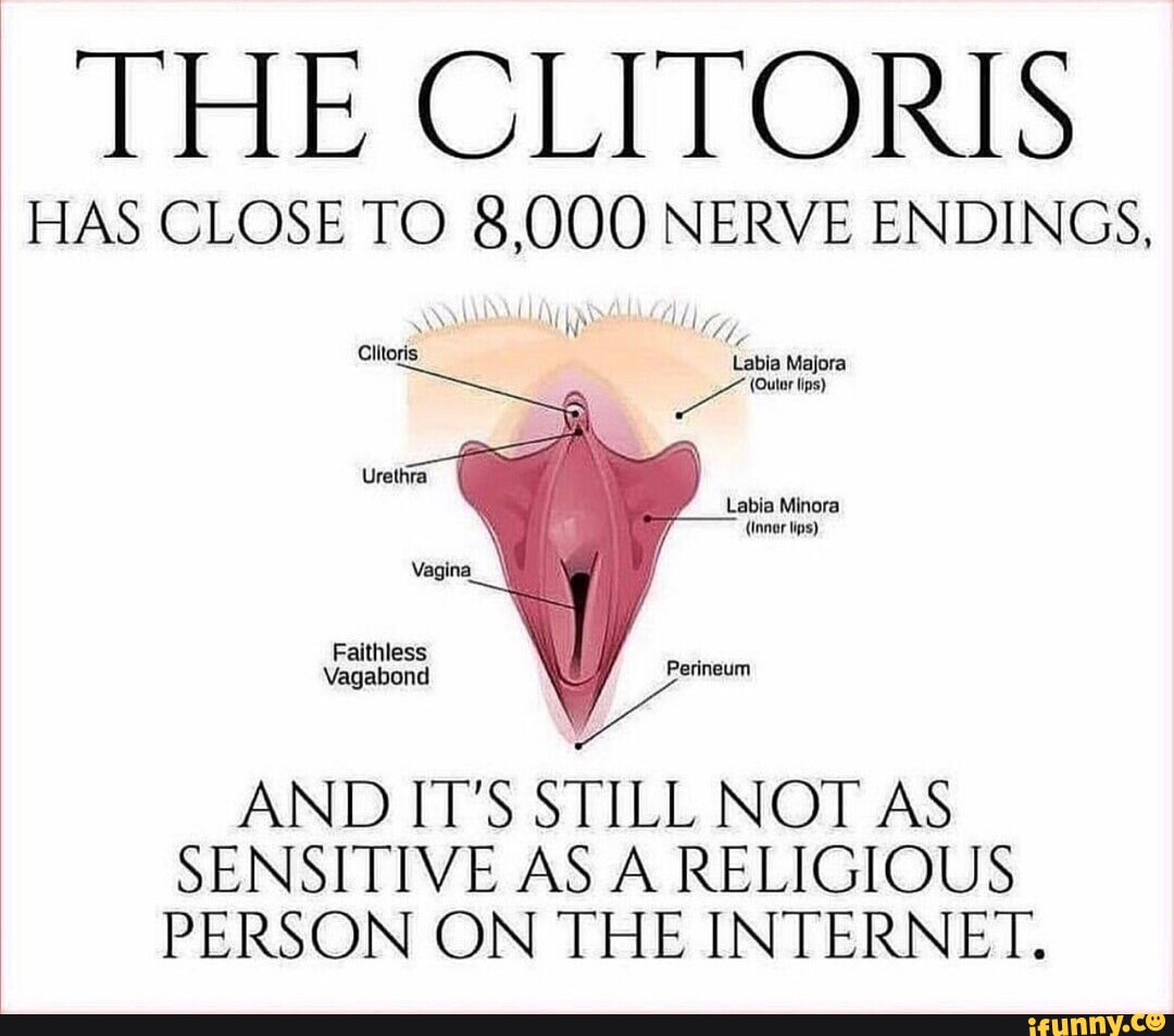 clitoris lips