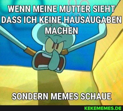 WENN MEINE MUTTER SIEHT DASS ICH KEINE HAUSAUGABEN MACHEN
SONDERN MEMES SCHAUE