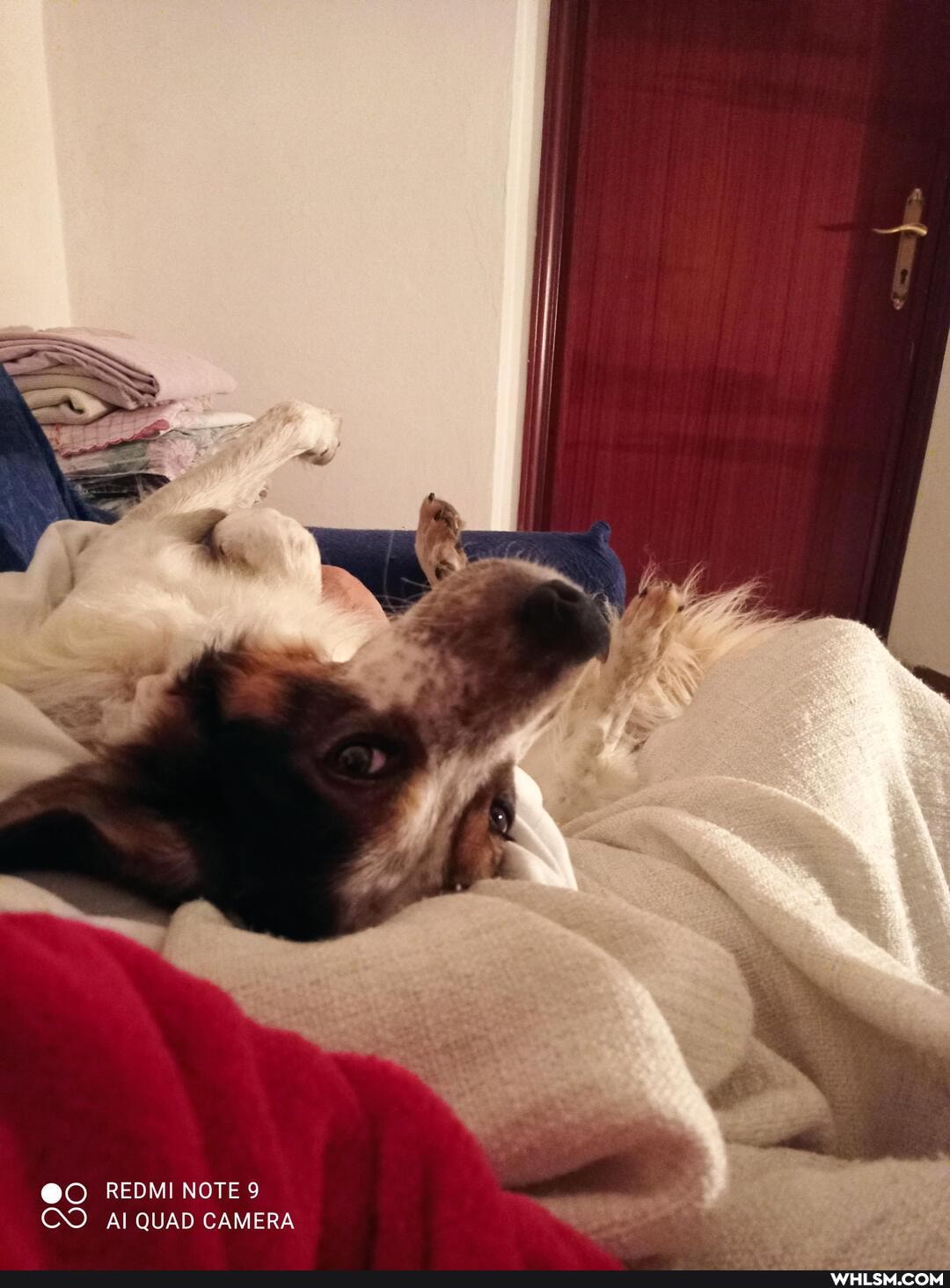 @O REOMI NOTE 9
CO Al QUAD CAMERA