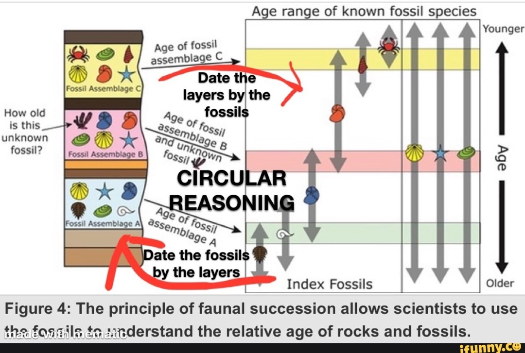 principle of faunal succession