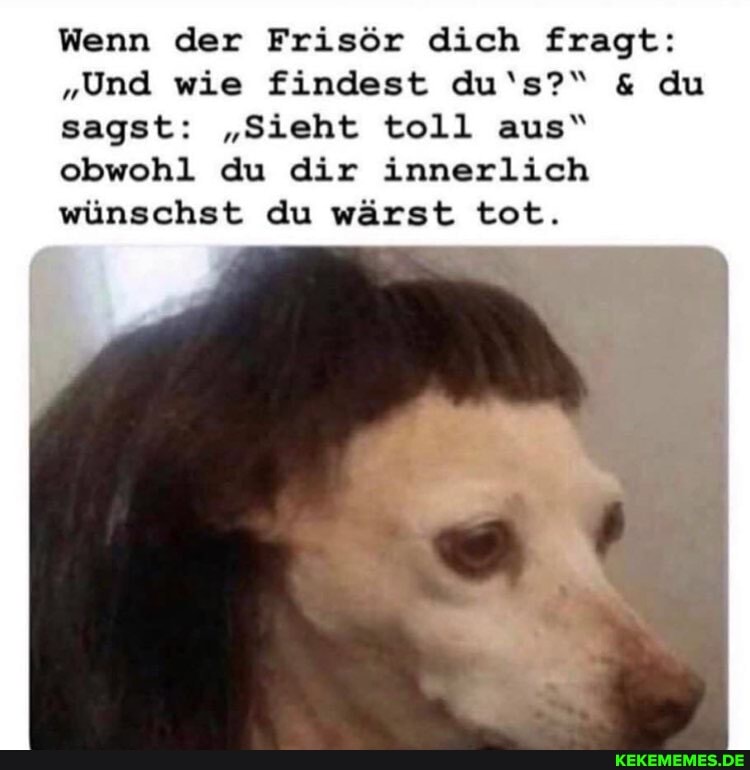 Wenn der Frisör dich fragt:
"Und wie findest du''s?" & du sagst: "Sieht toll aus" obwohl du dir innerlich wünschst du wärst tot.