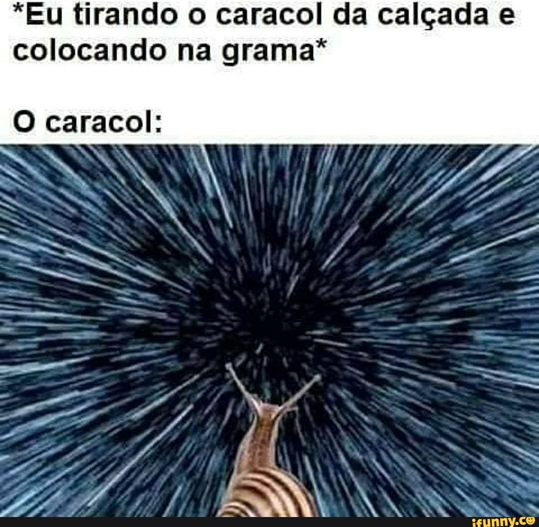 *Eu tirando o caracol da calçada e colocando na grama*
O caraco!:
ER
NO