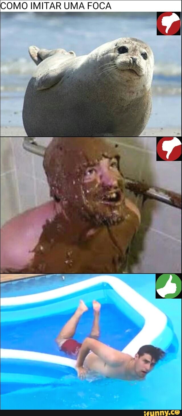 COMO IMITAR UMA FOCA