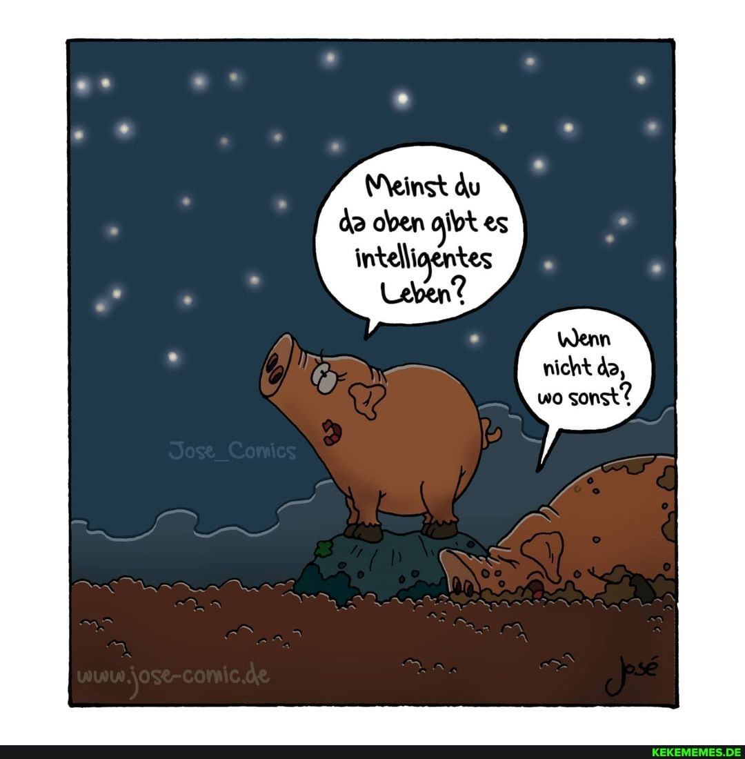 meinst-du-oben-es-intelligentes-wenn-nicht-da-wo-sonst-keke