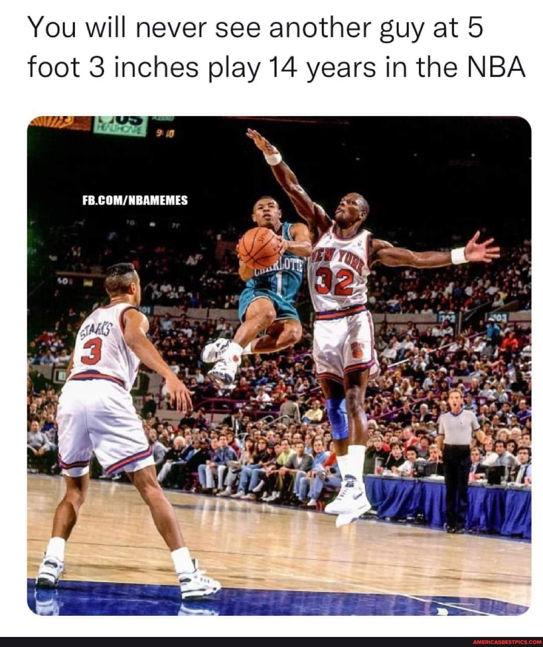 Muggsy Bogues is one of a kind! You will never see another guy at 5