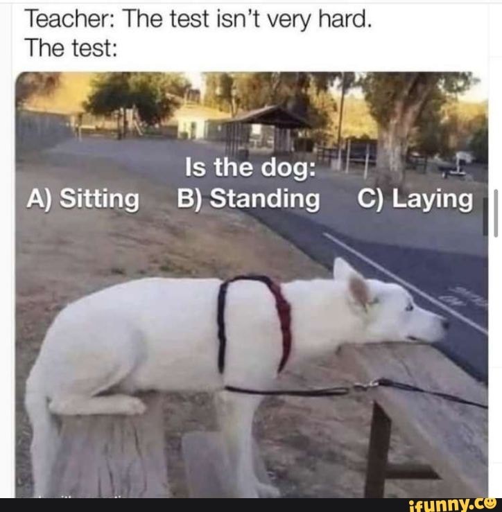 Teacher: The Test Isn't Very Hard. The Test: Is The Dog: A) Sitting B ...