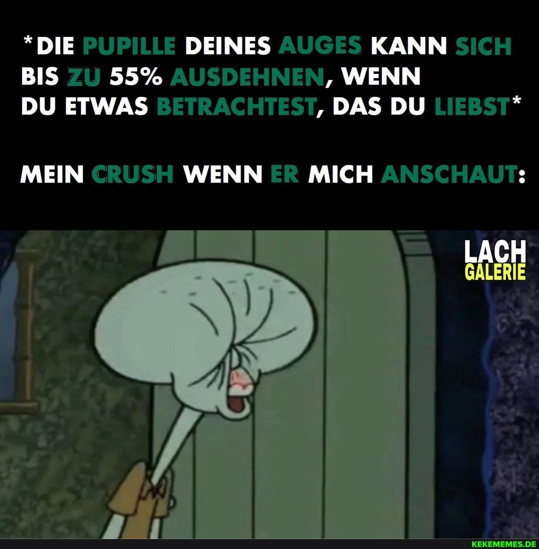 *DIE PUPILLE DEINES AUGES KANN SICH BIS zU 55% AUSDEHNEN, WENN DU ETWAS BETRACHTEST, DAS DU LIEBST*
MEIN CRUSH WENN ER MICH ANSCHAUT:
LACH