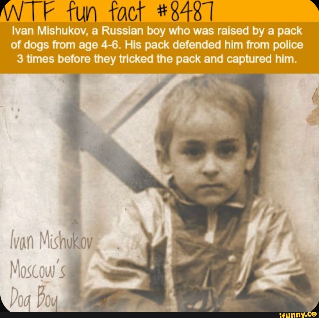 Tun tacr # Ivan Mishukov, a Russian boy who was raised by a pack of ...