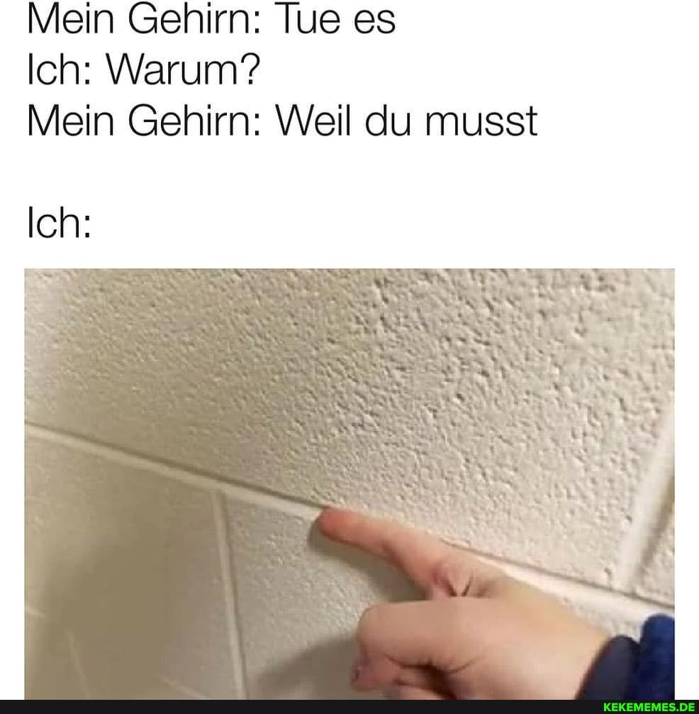Mein Gehirn: Tue es
Ich: Warum?
Mein Gehirn: Weil du musst
Ich: