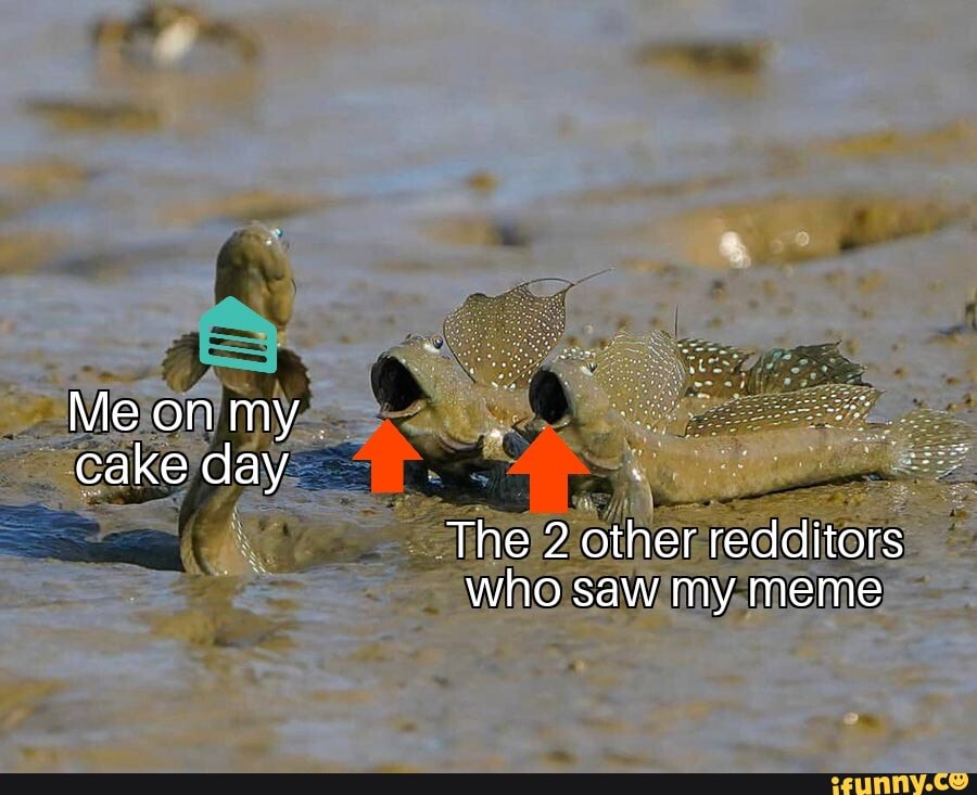 Me on my cake day
The 2 other redditors who saw my meme