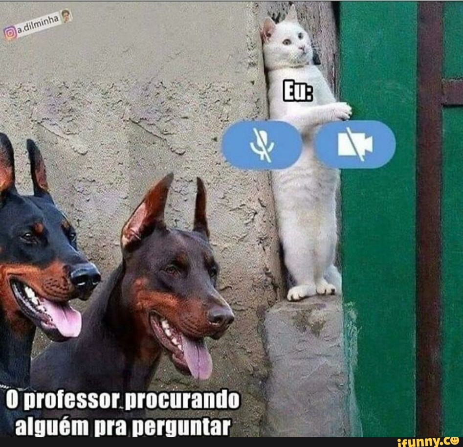 O professor curando pra perquiiar