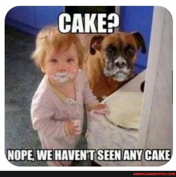 CAKE:
WE ARWEN ANY CAR: