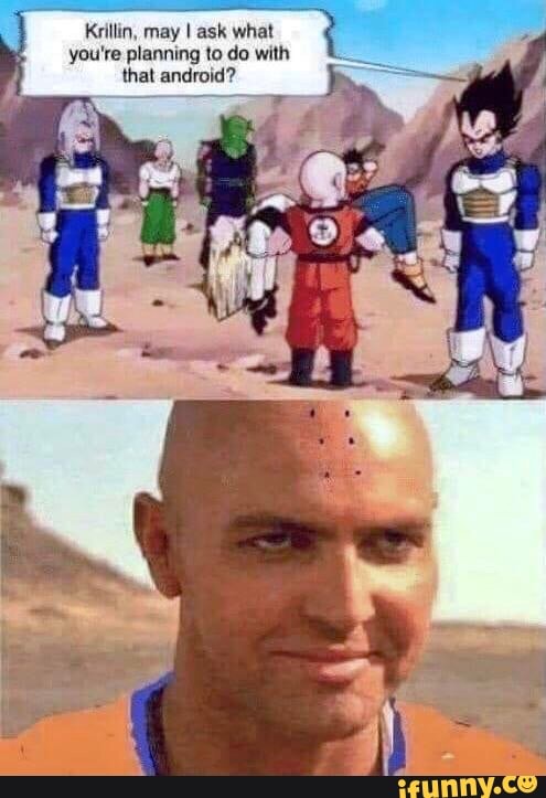 Krillin, may I ask what you're planning to do with that android?