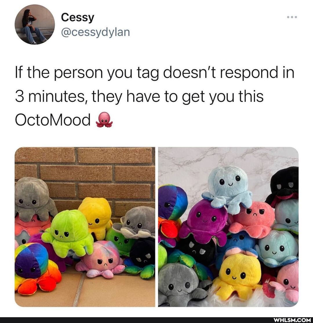 If the person you tag doesn't respond in
3 minutes, they have to get you this
OctoMood