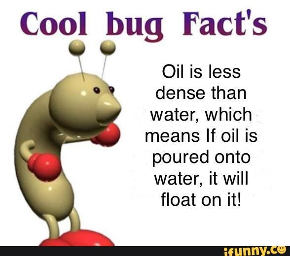 Cool bug Fact's Oil is less dense than water, which means If oil is